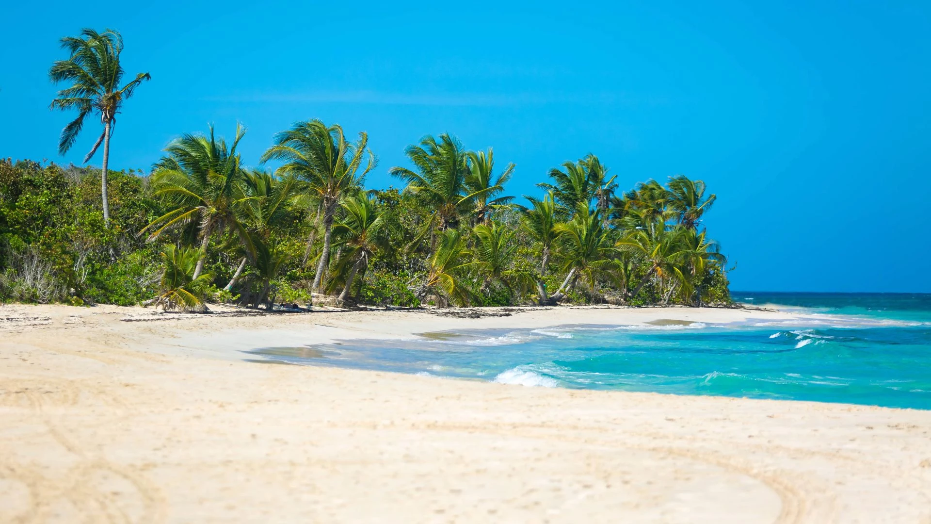 Puerto Rico: oltre i Caraibi